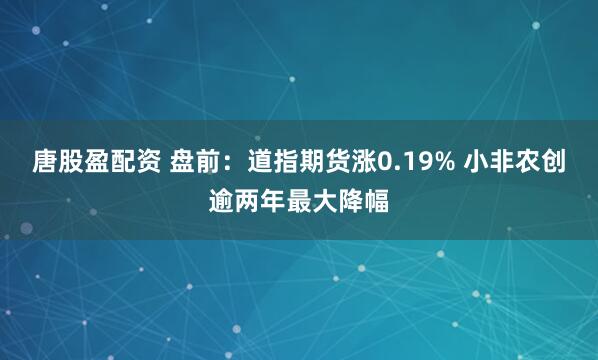 唐股盈配资 盘前：道指期货涨0.19% 小非农创逾两年最大降幅