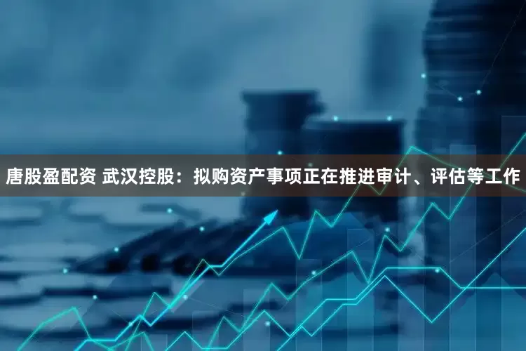 唐股盈配资 武汉控股：拟购资产事项正在推进审计、评估等工作