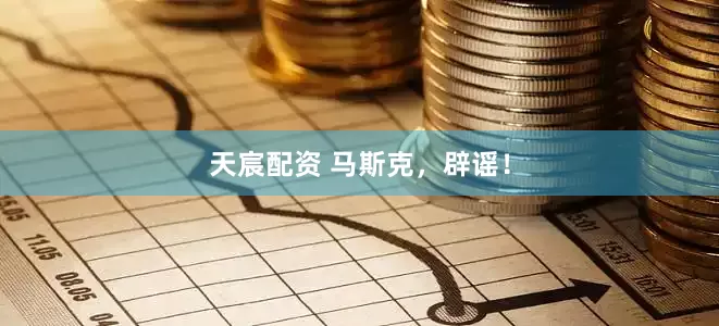 天宸配资 马斯克，辟谣！