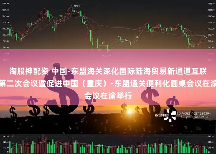 淘股神配资 中国-东盟海关深化国际陆海贸易新通道互联互通第二次会议暨促进中国（重庆）-东盟通关便利化圆桌会议在渝举行